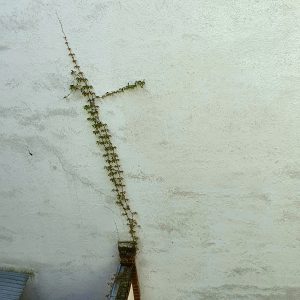 Filmisches Porträt in Schwarz-Weiß